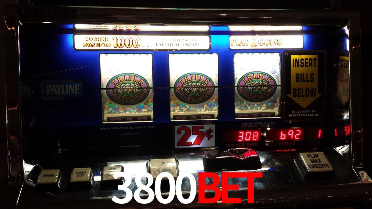 Sports Statistics 3800bet