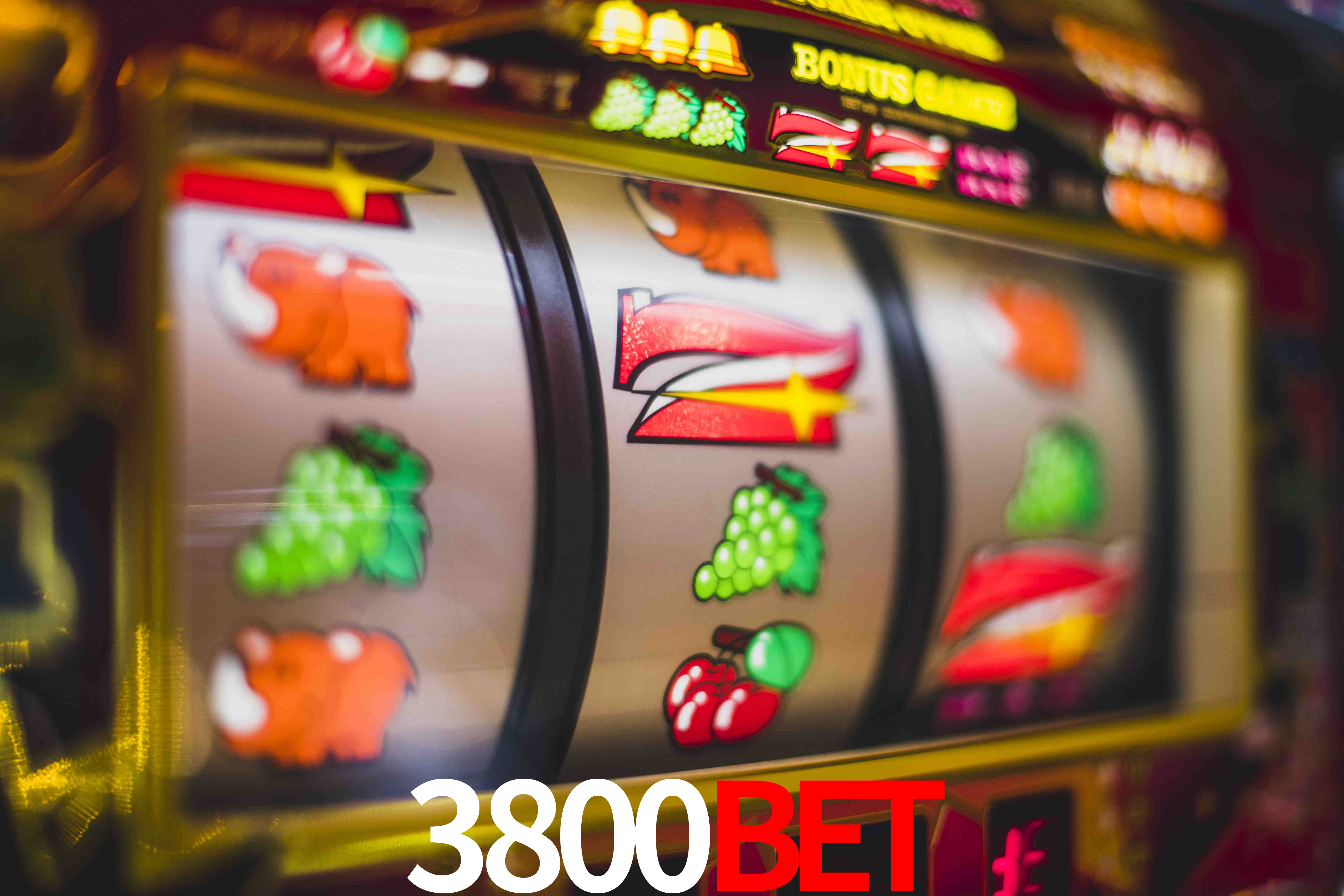 Football Betting 3800bet