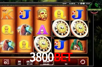 Apostas Esportivas na 3800BET: Um Guia Completo